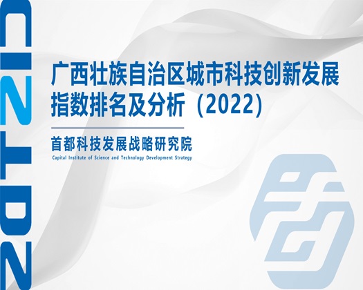 弄B爽【成果发布】广西壮族自治区城市科技创新发展指数排名及分析（2022）